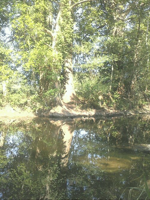 Protected: Creating Johanna’s&nbsp;Story