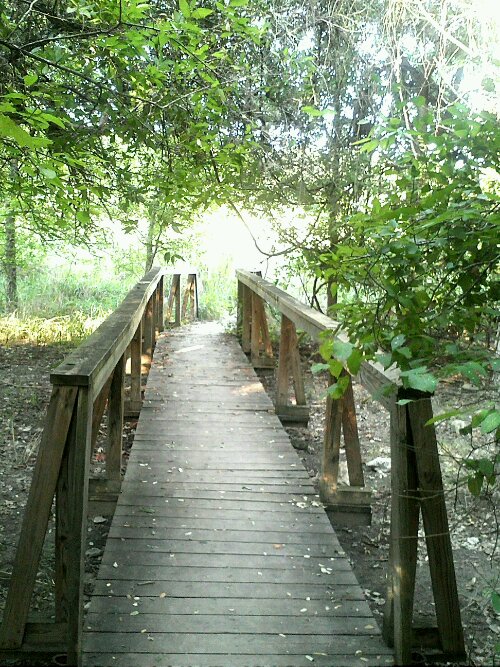 Protected: Ode to…