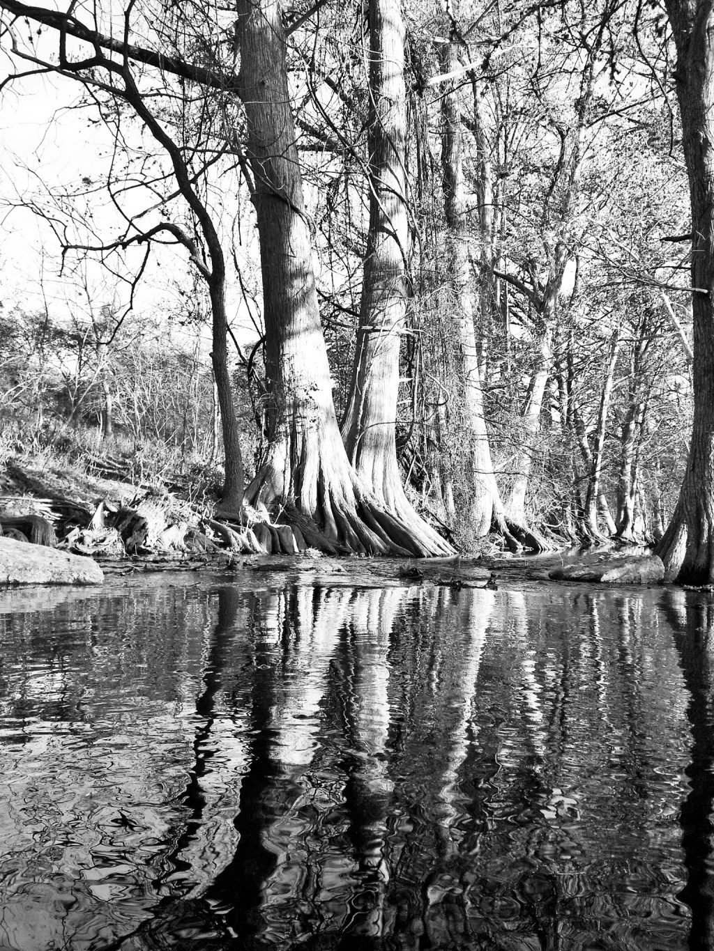 Protected: Stream of Consciousness…