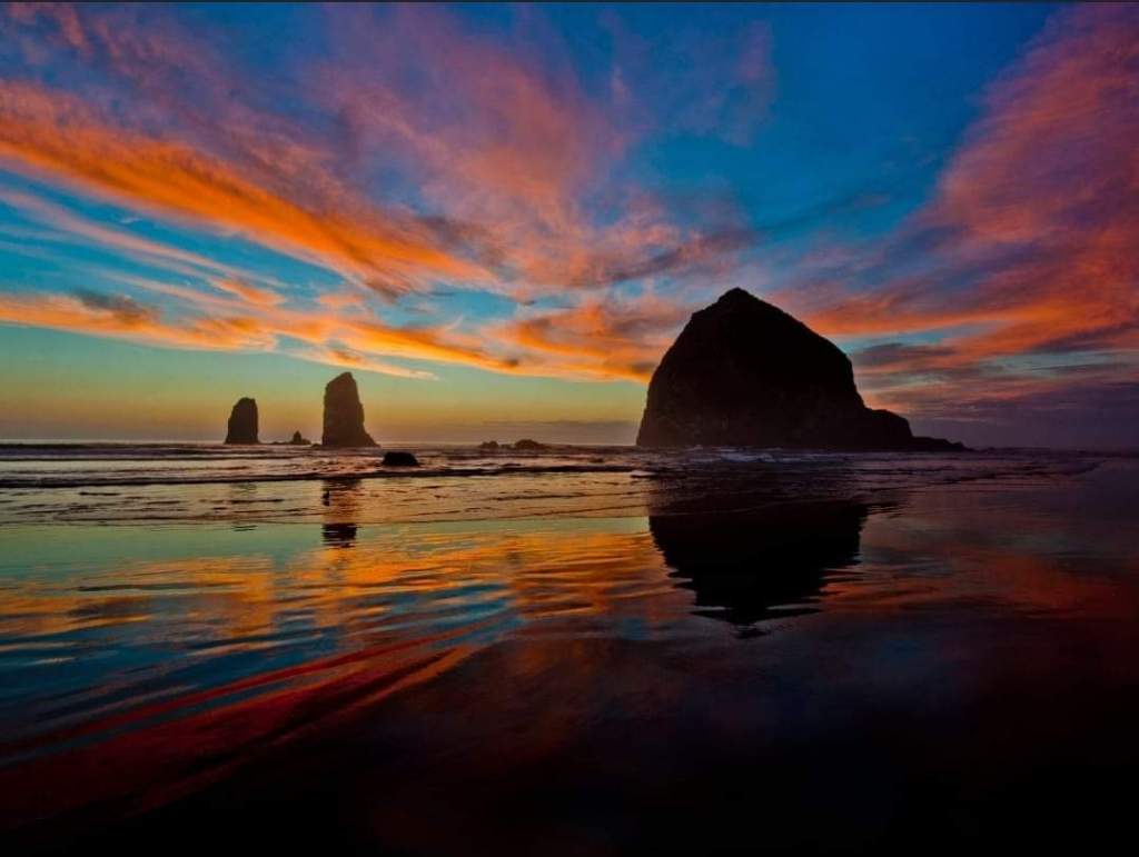 Protected: The Heart and the&nbsp;Mind