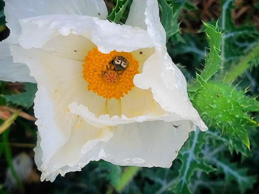 Protected: More than&nbsp;this.