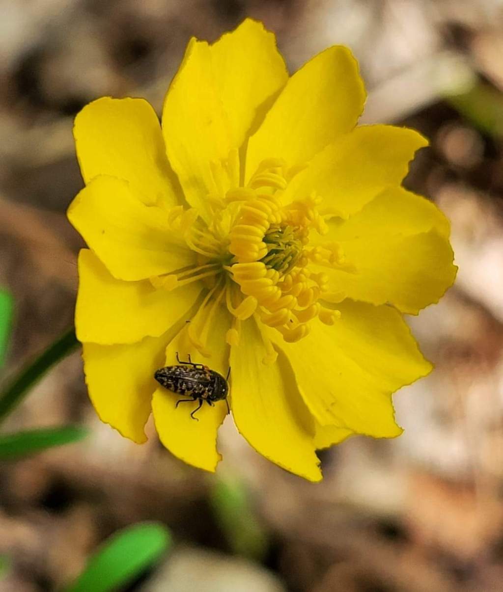 Protected: 1230am thoughts