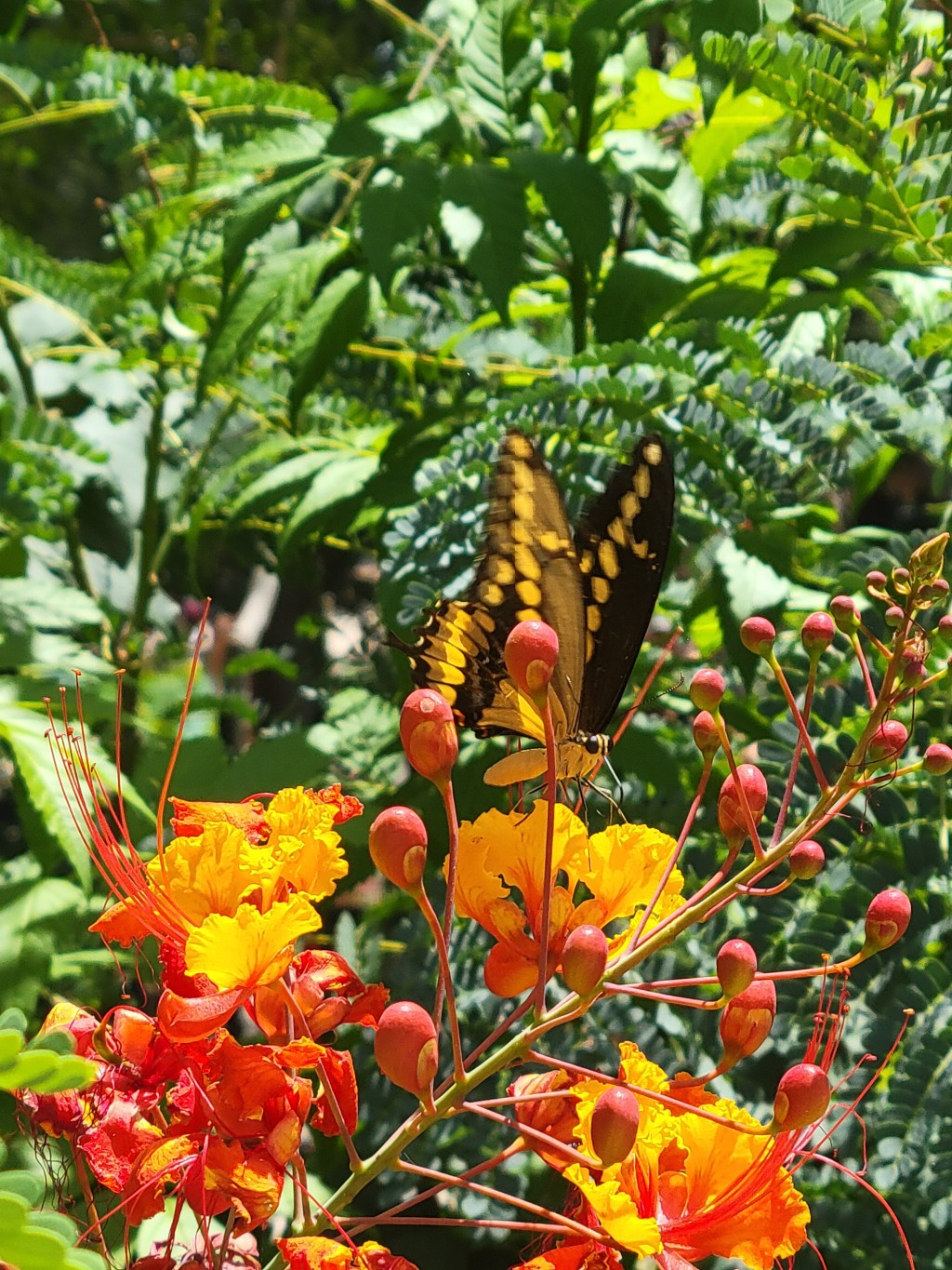 Protected: It won’t be&nbsp;me.